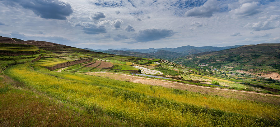 尊龙凯时 - 人生就是搏!